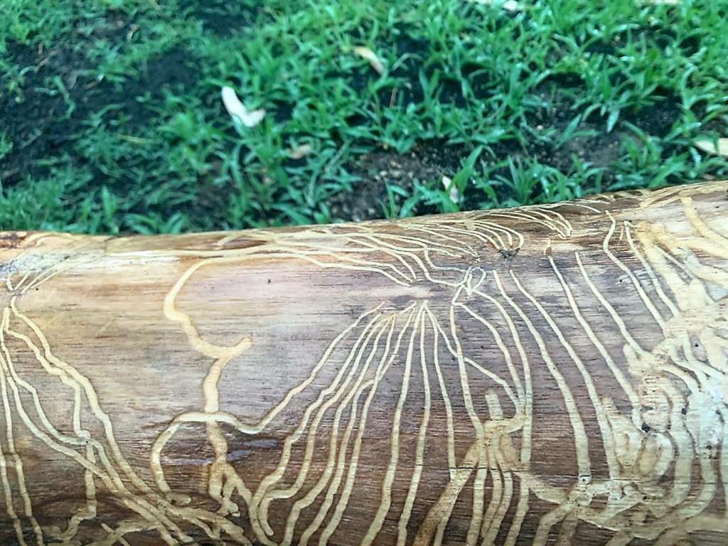 Villa Matilde Costa Rei Castiadas Esterno foto
